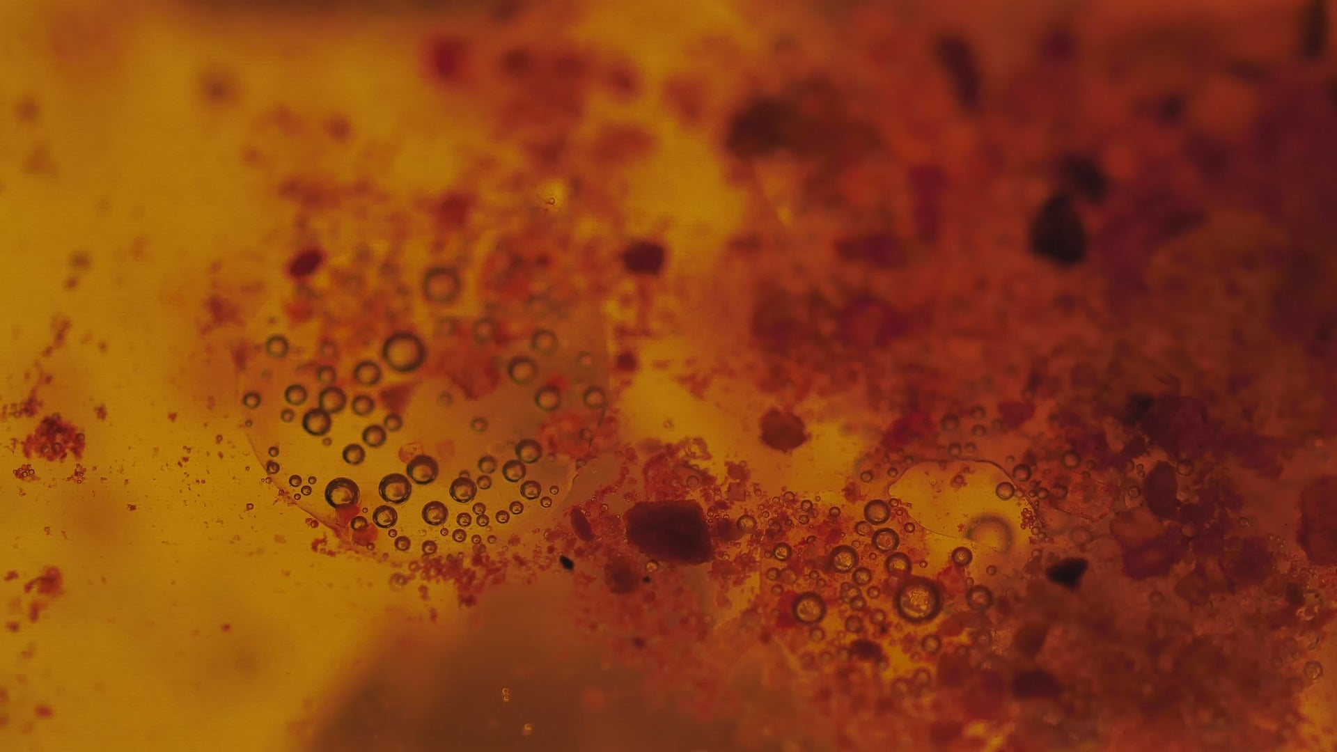 Hintergrundvideo mit goldenen Flüssigkeitsblasen – symbolisiert hochwertige AYARI-Inhaltsstoffe und wissenschaftlich formulierte Nahrungsergänzungsmittel